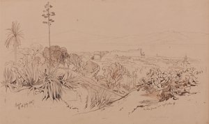  av Edward Lear