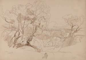  av Edward Lear