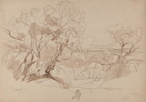  av Edward Lear