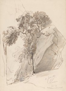  av Edward Lear