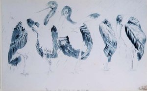 Studier av storke av Edward Lear