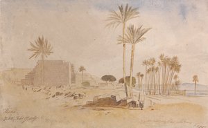  av Edward Lear