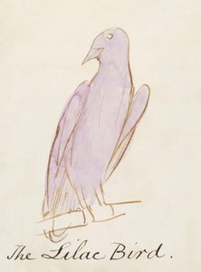 The Lilac Bird, fra Sixteen Drawings of Comic Birds (penn og blekk wc på papir) av Edward Lear