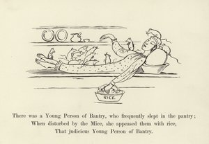 Det var en ung person fra Bantry, som ofte sov i pantryet av Edward Lear