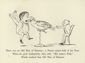 Det var en gammel mann fra Dunrose; en papegøye grep tak i nesen hans av Edward Lear