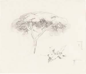 Paraplyfuru og andre studier av Edward Lear
