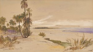  av Edward Lear