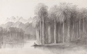  av Edward Lear