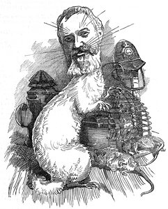 Adolphus 'Dolly' Williamson av Edward Linley (after) Sambourne