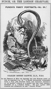 Charles Darwin, Punchs fancy portretter, nr. 54, illustrasjon fra 