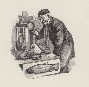 Illustrasjon for The Water-Babies av Charles Kingsley (gravering) av Edward Linley (after) Sambourne