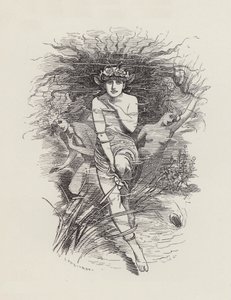 Illustrasjon for The Water-Babies av Charles Kingsley (gravering) av Edward Linley (after) Sambourne