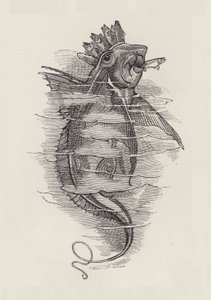 Illustrasjon for The Water-Babies av Charles Kingsley (gravering) av Edward Linley (after) Sambourne
