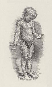 Illustrasjon for The Water-Babies av Charles Kingsley (gravering) av Edward Linley (after) Sambourne