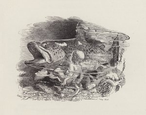 Illustrasjon for The Water-Babies av Charles Kingsley (gravering) av Edward Linley (after) Sambourne