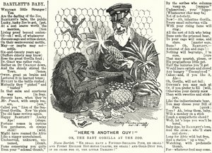 Punch tegneserie: Abraham Dee Bartlett, superintendent for London Zoo, og en babygorilla (gravering) av Edward Linley (after) Sambourne