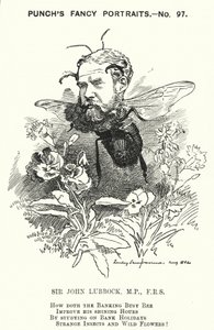 Punch tegneserie: John Lubbock av Edward Linley (after) Sambourne