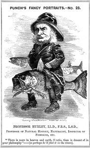 Thomas Henry Huxley , engelsk biolog, 1881 av Edward Linley Sambourne