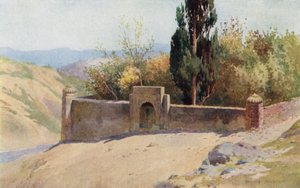 Lala lisensgrav, Hassan Badal