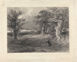 Utkanten av skogen