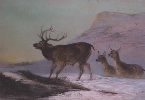 Vinter (pastell)