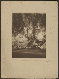 av Edward S. Curtis