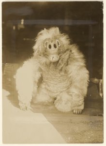  av Edward S. Curtis
