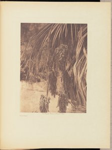  av Edward S. Curtis