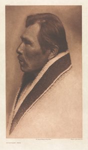 Portefølje IX, Plate 319: Snoqualmu Type