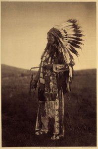 Høyde Hawk. Warrior