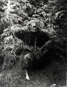 Nane-Qagyuhl, indianerdrakt av Edward Sheriff Curtis