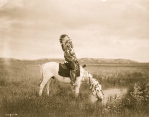 Oasis in the Badlands 1905 (bilde)