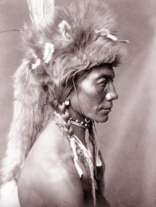 Gul nyre, Piegan av Edward Sheriff Curtis