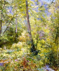 Dappled Sunlight, Sheepscombe Woods av Edward Steel Harper