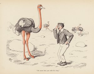 Haler med en vri: Strutsen (farge litho)