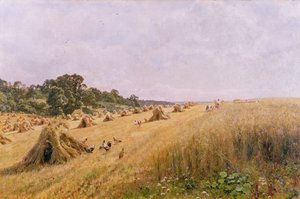 Kornhøst