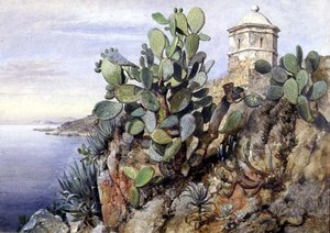 Kaktuspigg, Monaco av Edward William Cooke