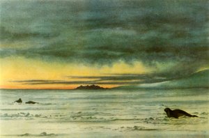 'Looking North in McMurdo Sound', 1911, 1946. av Edward Wilson