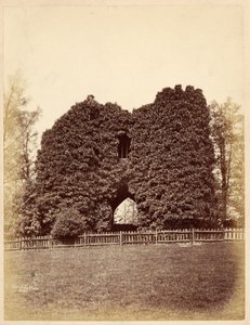 Utsikt over en dårskap i Roundhay Park (albumintrykk) av Edward Wormald