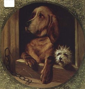En delt kennel
