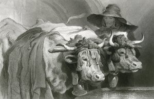 Okser ved tanken, Genève (gravering) av Edwin (after) Landseer