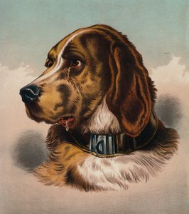  av Edwin (after) Landseer