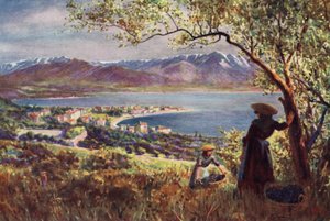 Korsika: Generelt syn på Ajaccio (farge litho)
