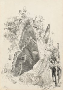 Bunn og Titania, illustrasjon for En midtsommernatt av Edwin Austin Abbey