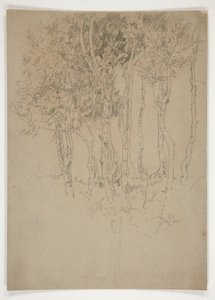 Skisse av en trelund av Edwin Austin Abbey
