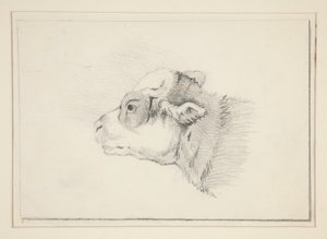 Skisse av en sau av Edwin Austin Abbey