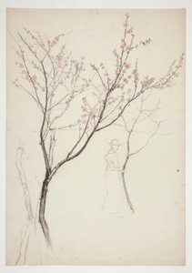 Studie av en figur under et blomstrende tre av Edwin Austin Abbey