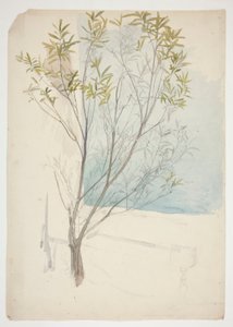 Studie av et tre av Edwin Austin Abbey