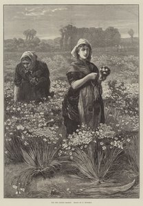 For London Market (gravering) av Edwin Buckman