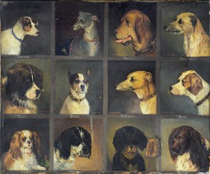 Tolv favoritthunder, 1883